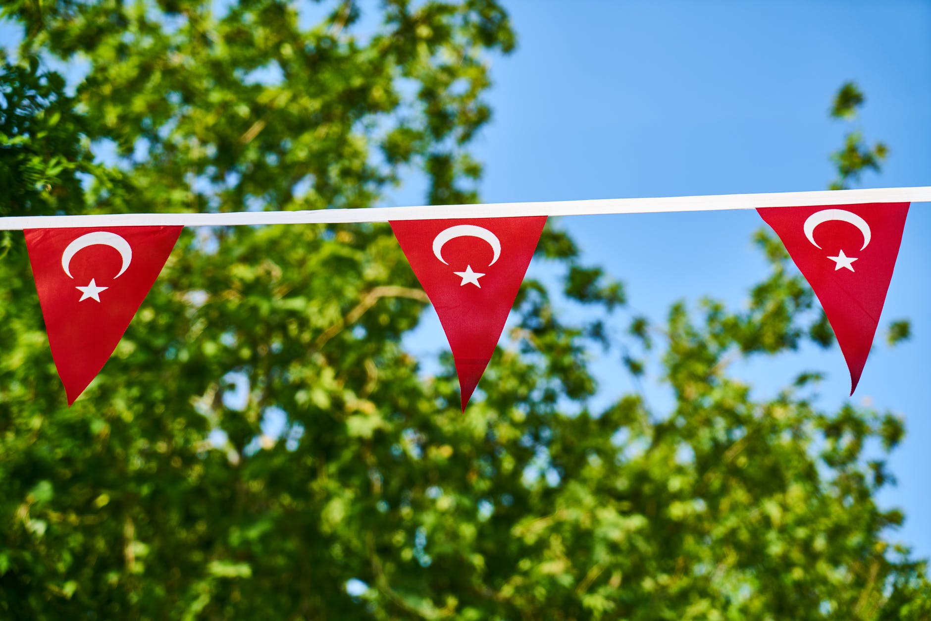 photo of turkish flags